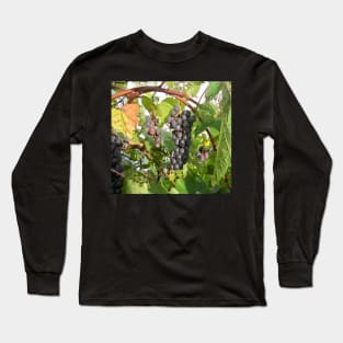 Grape Long Sleeve T-Shirt